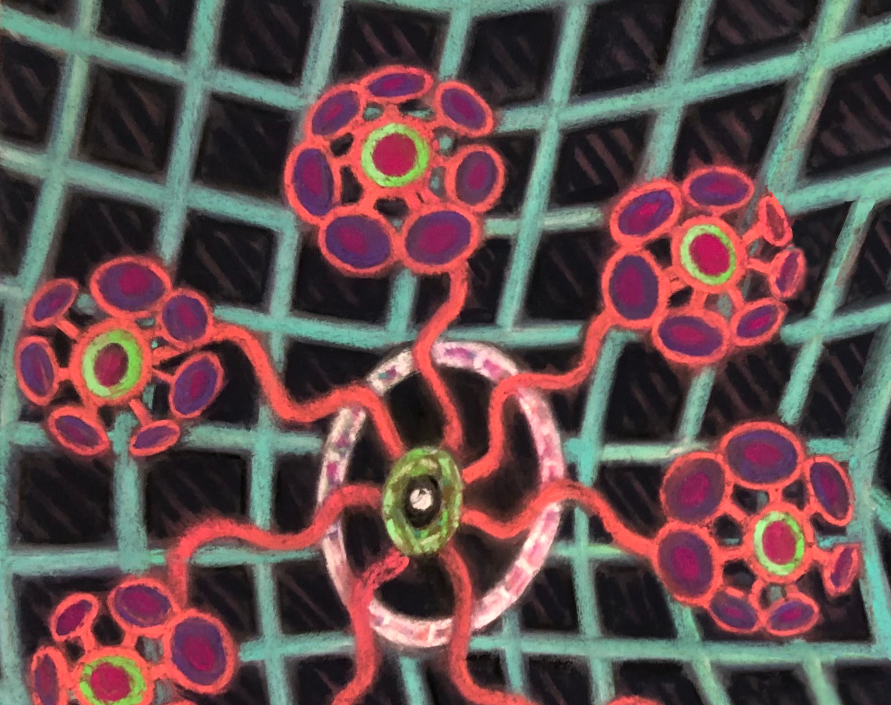 Blossoming - 3x4(horizontal_rec)